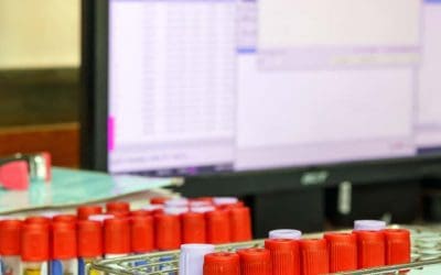 Year In Review – Recent Staffing Highlights