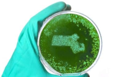 15 Massachusetts Life Science Companies That Spend the Most on R&D | BioSpace